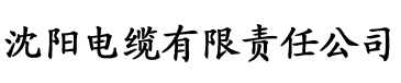 2021自拍理论片免费在线观看电缆厂logo